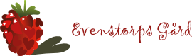 logo-evenstorp