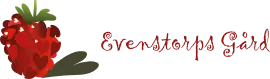 logo-evenstorp